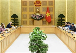 Việt Nam khẳng định cam kết mạnh mẽ để khắc phục thẻ vàng IUU