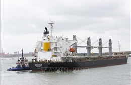 Thêm 12 tàu chở ngũ cốc rời các cảng của Ukraine
