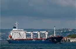 Liên hợp quốc thông báo nối lại hoạt động kiểm tra tàu theo Sáng kiến Ngũ cốc Biển Đen