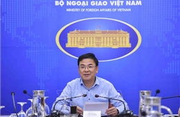 Thúc đẩy triển khai Ngoại giao số của Việt Nam