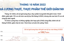 Tháng 10, chỉ số giá lương thực, thực phẩm thế giới giảm nhẹ