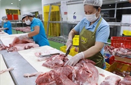 Dự báo nhập khẩu thịt và các sản phẩm thịt sẽ không tăng đột biến