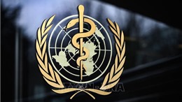 WHO dự kiến thảo luận thỏa thuận toàn cầu về đại dịch vào đầu năm 2023