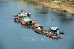 Tuyên Quang phát triển nuôi cá lồng trên sông, hồ góp phần xoá đói giảm nghèo