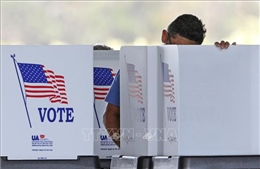 Bầu cử giữa nhiệm kỳ ở Mỹ: Những điểm nhấn đầu tiên
