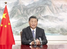 Chủ tịch Tập Cận Bình: Trung Quốc và Mỹ cần tìm ra hướng đi đúng cho quan hệ song phương 