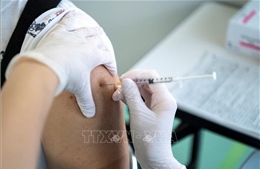Nhật Bản công bố thông tin về phản ứng phụ của vaccine đặc trị dòng phụ BA.1