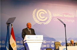 Ai Cập đưa ra sáng kiến ​​&#39;Ứng phó với khí hậu để duy trì hòa bình&#39;