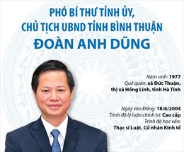 Phó Bí thư Tỉnh ủy, Chủ tịch UBND tỉnh Bình Thuận Đoàn Anh Dũng