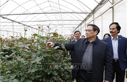 Thủ tướng Phạm Minh Chính thăm cơ sở trồng hoa công nghệ cao tại Đà Lạt