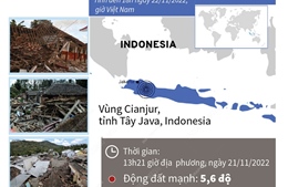 252 người thiệt mạng trong trận động đất tại tỉnh Tây Java, Inonesia