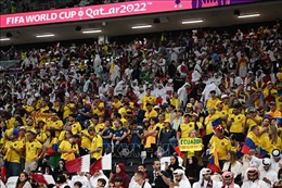 Khán giả nhận vé viết tay do sự cố trên ứng dụng của FIFA
