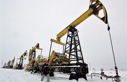 Giá dầu chịu sức ép trước đề xuất của phương Tây về trần giá dầu Nga