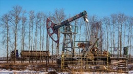 Nhật Bản áp giá trần dầu thô của Nga