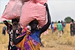 IMF tài trợ khẩn cấp 112,7 triệu USD để Nam Sudan giải quyết vấn đề thiếu lương thực