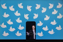 Ghi nhận ý kiến của đa số người dùng, Twitter khôi phục các tài khoản bị khóa