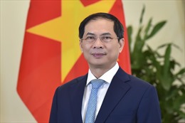 Bộ trưởng Ngoại giao Bùi Thanh Sơn: Việt Nam tiếp tục đóng góp tích cực cho hoạt động gìn giữ hòa bình Liên hợp quốc