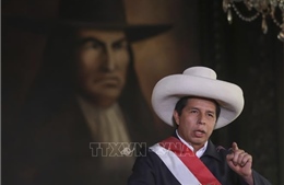 Phe đối lập Peru tiếp tục trình kiến nghị luận tội Tổng thống