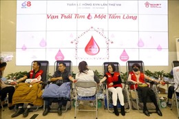 Hàng nghìn người lao động EVN hiến máu hướng ứng Tuần lễ hồng lần thứ VIII