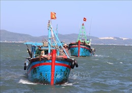 Khắc phục &#39;thẻ vàng&#39; IUU: Phú Yên không có tàu cá vi phạm nhờ tuyên truyền tốt