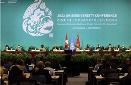 COP15: Thêm 6 nước cam kết tăng hỗ trợ tài chính để bảo tồn hệ sinh thái