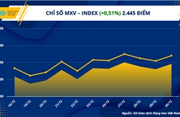 Thị trường hàng hoá khép lại tuần cuối năm 2022 với sắc xanh áp đảo