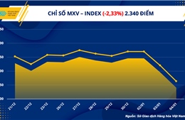 Giá hàng hoá nguyên liệu thế giới giảm mạnh