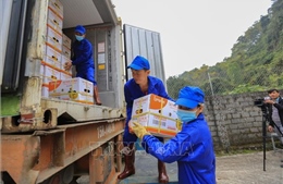 Xuất khẩu gần 7 tấn cam Cao Phong đầu tiên sang Anh