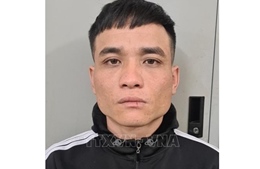 Hà Nội: Liên tiếp bắt giữ các đối tượng trộm, cướp tài sản