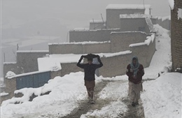Afghanistan: Trên 160 người tử vong do thời tiết giá rét