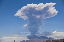 Chile nâng cảnh báo đối với núi lửa Lascar