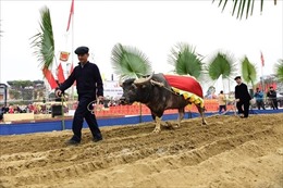 Nô nức Lễ hội Lồng Tông - Ngày hội xuống đồng của dân tộc Tày tại Tuyên Quang
