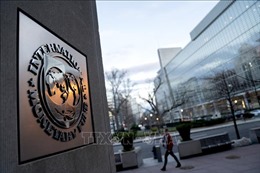 IMF, Ukraine đạt tiến triển trong đàm phán về khoản vay 15 tỷ USD