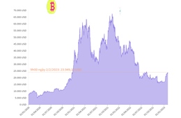 Giá Bitcoin tăng vọt chạm mốc 24.000 USD