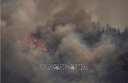 Khói do cháy rừng làm gia tăng cháy rừng