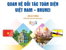 Quan hệ Đối tác toàn diện Việt Nam - Brunei