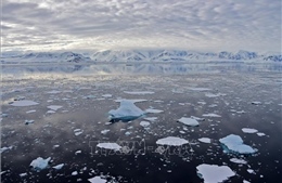 Băng biển ở Nam Cực thấp nhất trong gần 45 năm