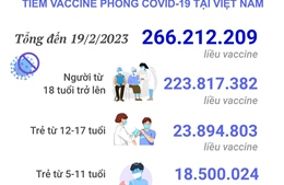 Tình hình tiêm vaccine phòng COVID-19 tại Việt Nam tính đến hết ngày 19/2/2023