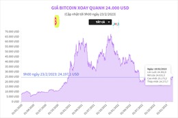 Giá Bitcoin xoay quanh 24.000 USD