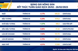 Giá lúa mì giảm mạnh hơn 7%