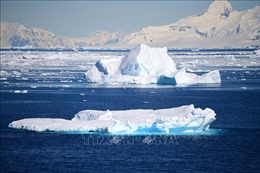 Băng biển Nam cực giảm xuống mức thấp kỷ lục