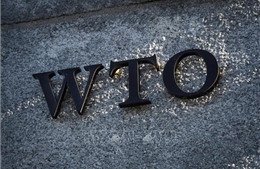 Trung Quốc kháng cáo phán quyết của WTO trong vụ tranh chấp thuế quan với Mỹ