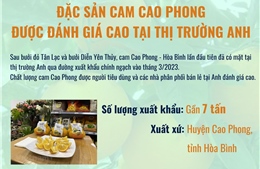 Đặc sản cam Cao Phong được đánh giá cao tại thị trường Anh