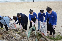 Tuổi trẻ Đà Nẵng tham gia làm sạch biển