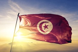 Điện mừng Quốc khánh nước Cộng hòa Tunisia