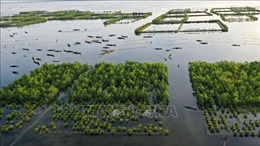 Phát triển hệ đầm phá Tam Giang - Cầu Hai trở thành &#39;Công viên đầm phá Quốc gia&#39;