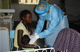 Guinea Xích đạo báo cáo chính thức về số ca nhiễm virus Marburg