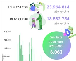 Tình hình tiêm vaccine phòng COVID-19 tại Việt Nam tính đến hết ngày 30/3/2023