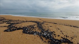 Cơ bản khắc phục dầu vón cục trôi dạt vào bờ biển Tuy Hoà