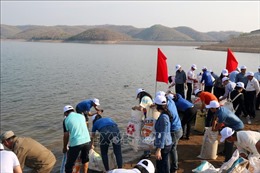 Bình Thuận, Cần Thơ thả con giống tái tạo nguồn lợi thủy sản ​